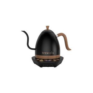 Artisan Electric Gooseneck Kettle